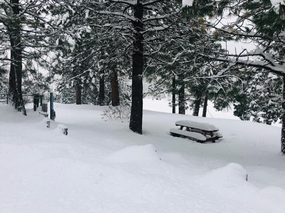 Mountain View Cabins Wrightwood Bagian luar foto